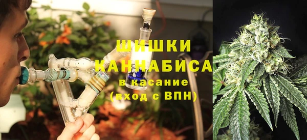 трава Куйбышев