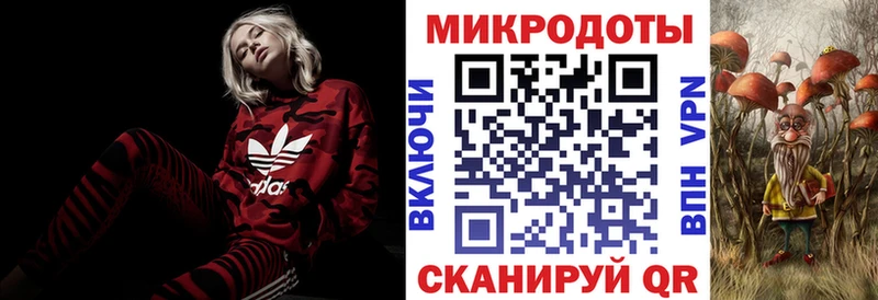 Псилоцибиновые грибы прущие грибы  Мещовск 